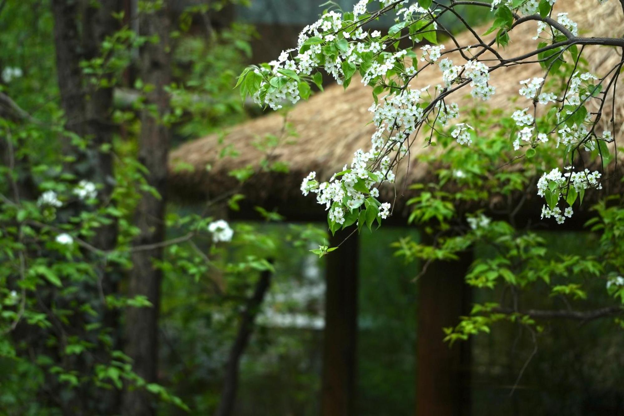 Apartamento 吾爱堂 Lijiang  Exterior foto