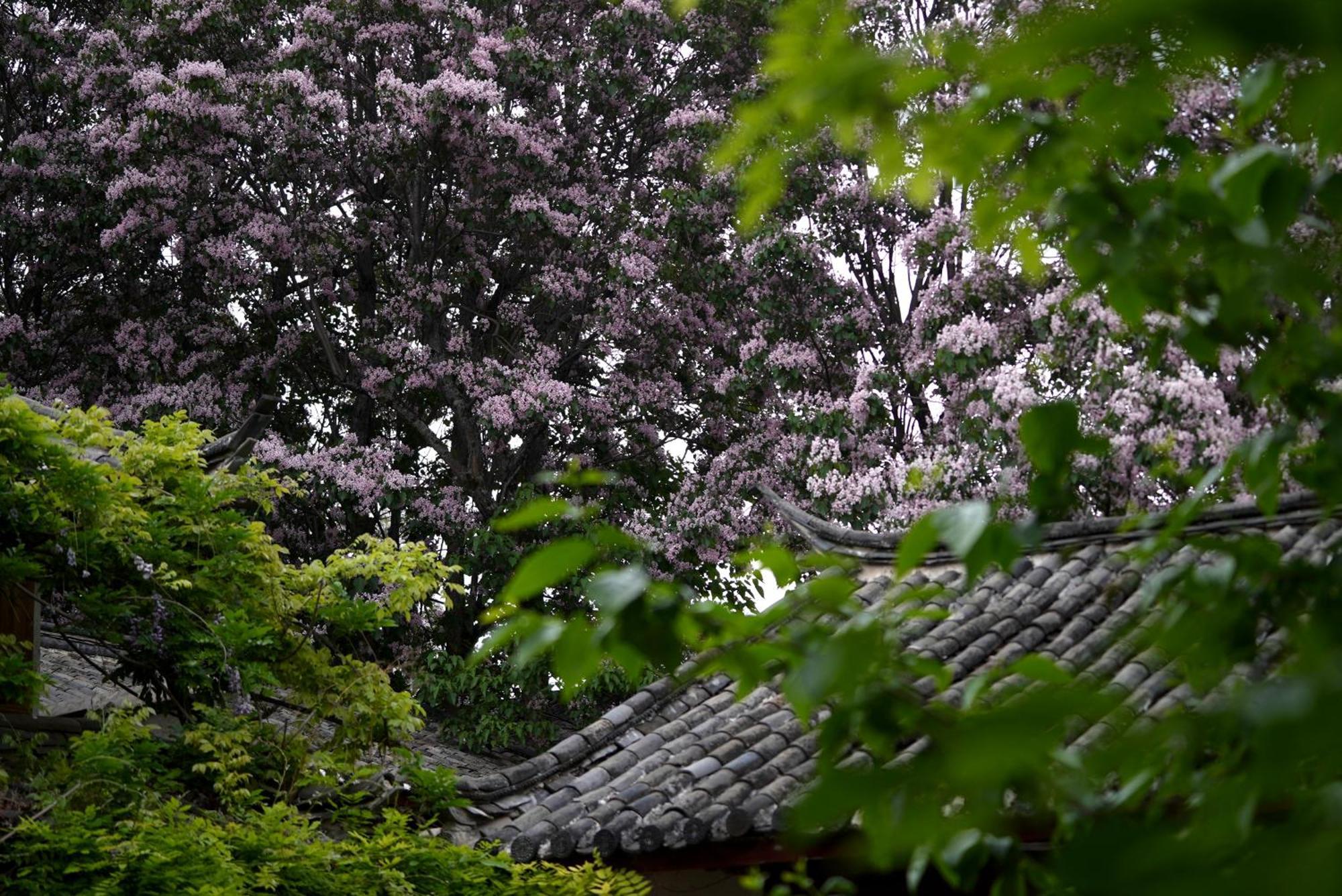 Apartamento 吾爱堂 Lijiang  Exterior foto