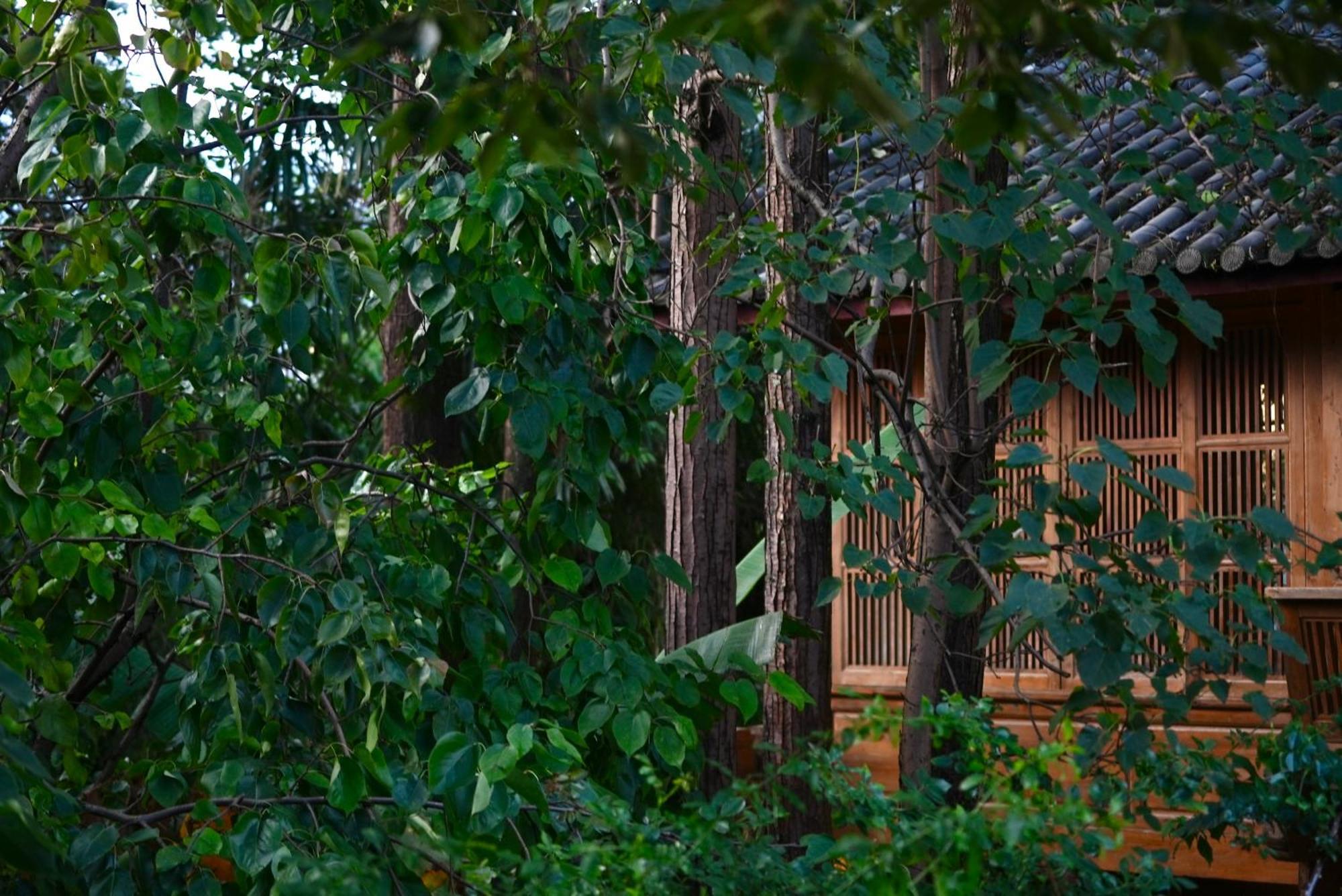 Apartamento 吾爱堂 Lijiang  Exterior foto