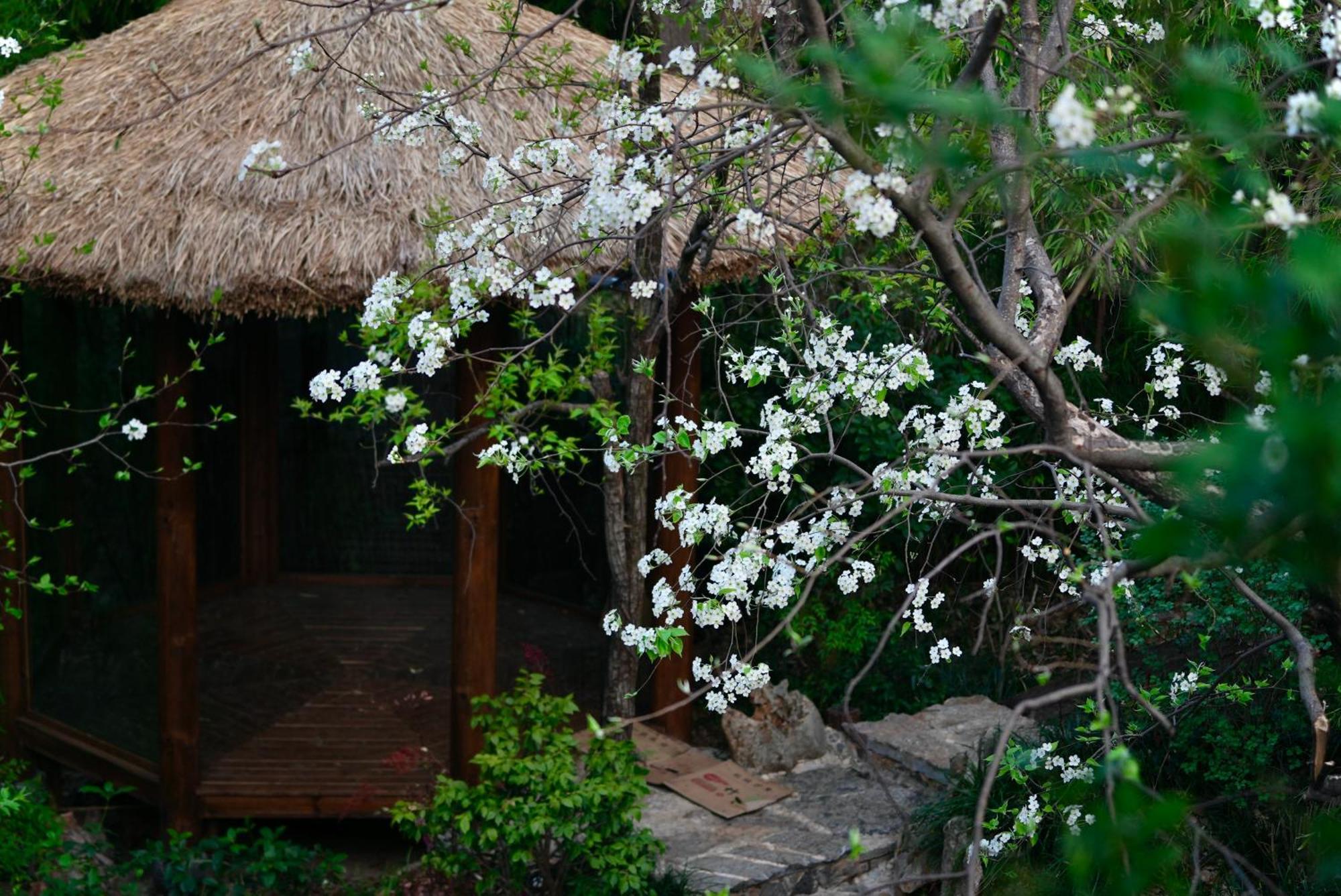 Apartamento 吾爱堂 Lijiang  Exterior foto