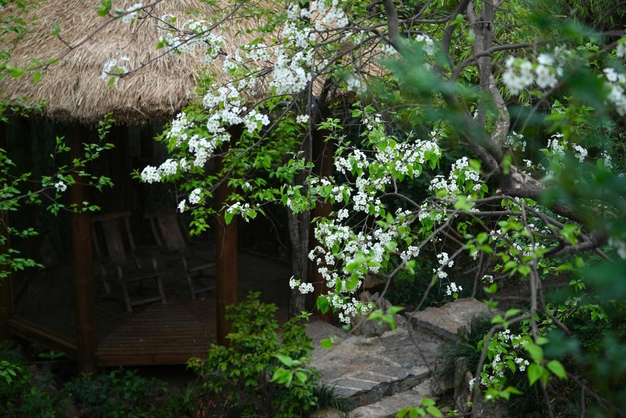 Apartamento 吾爱堂 Lijiang  Exterior foto