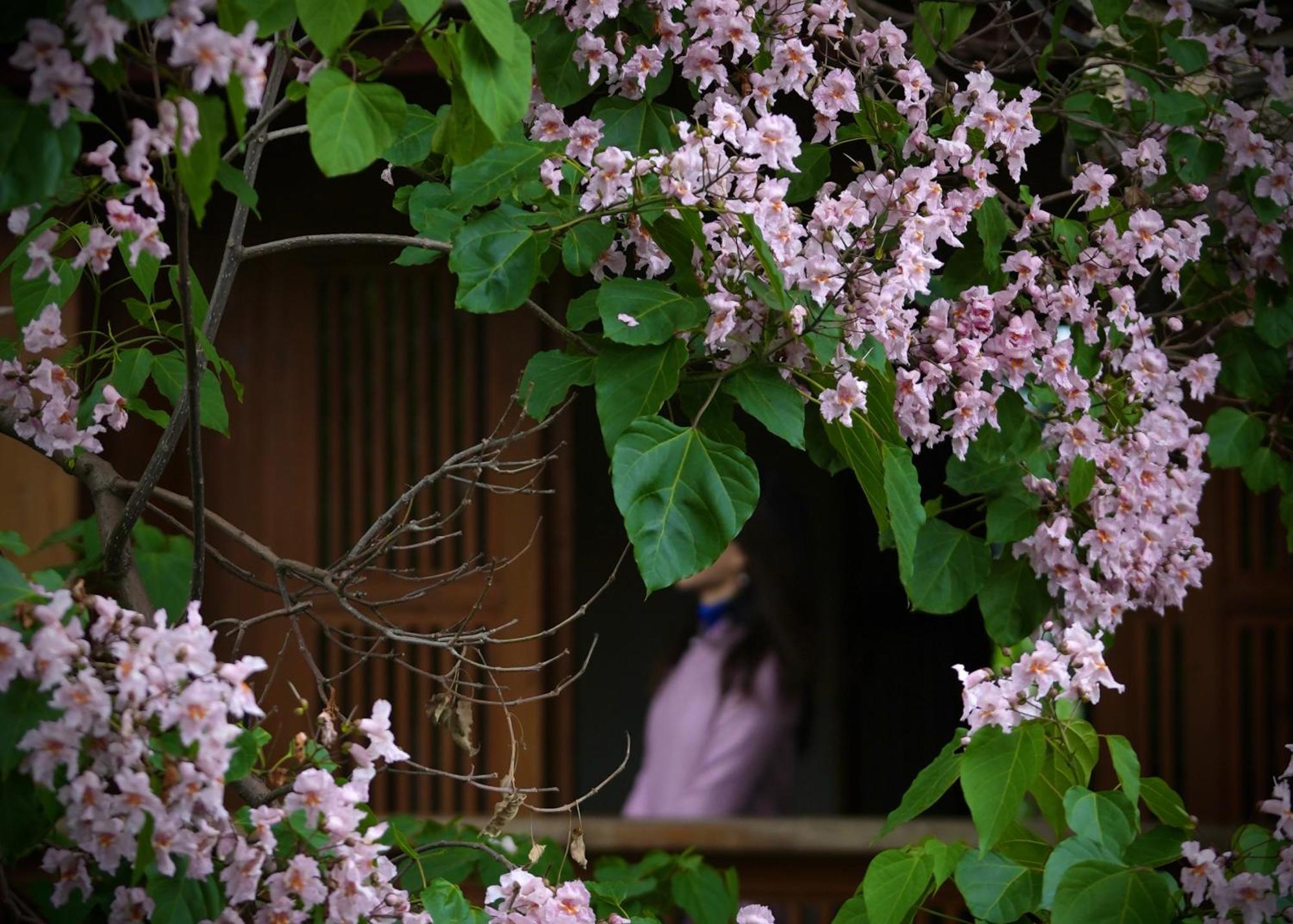 Apartamento 吾爱堂 Lijiang  Exterior foto